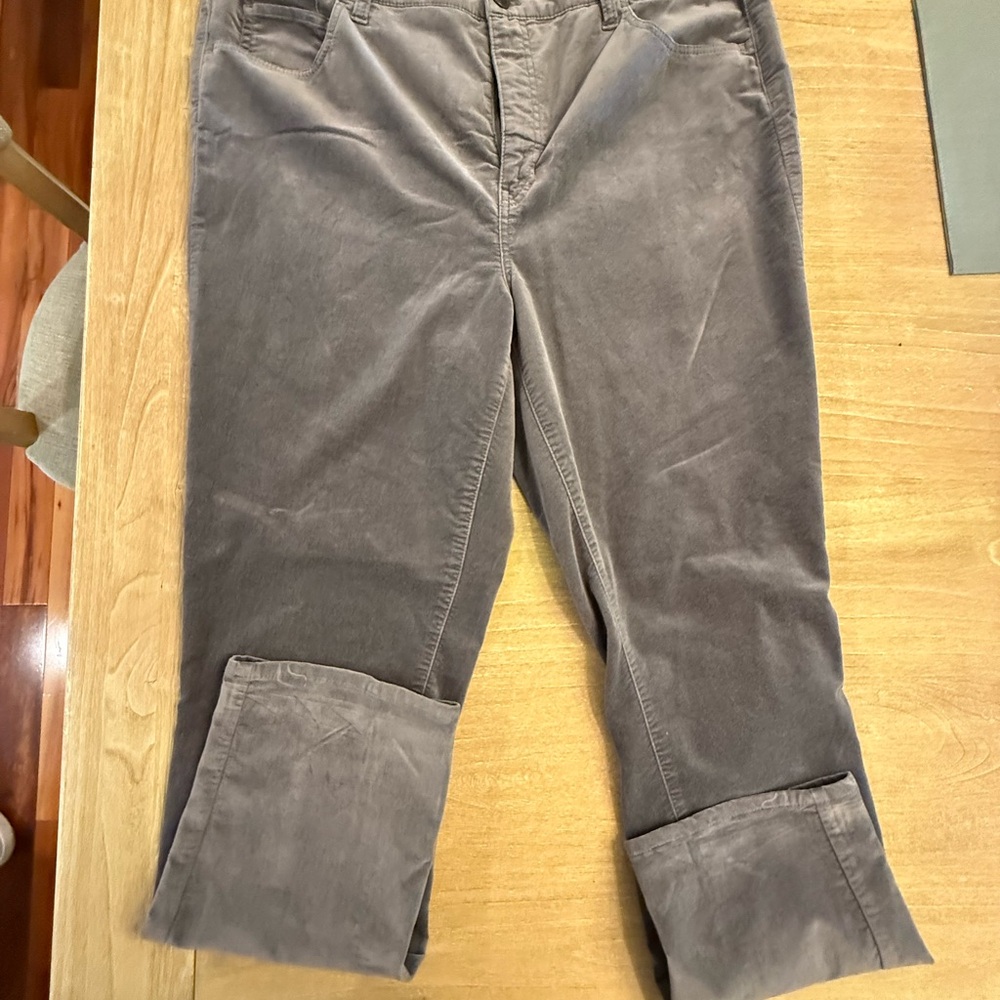 Talbots Gray Velvet Women's Pants